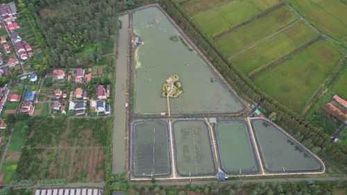 20240807104223085893.jpg 绘就乡村振兴新图景——横沙乡创新思路,发展特色产业8.jpg