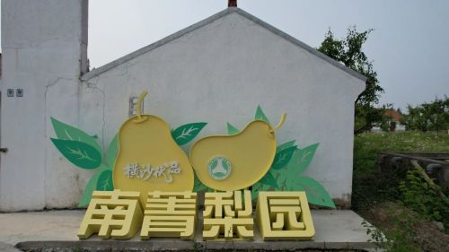 20240807104311022004.jpg 绘就乡村振兴新图景——横沙乡创新思路,发展特色产业11.jpg