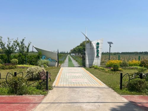 20240807104055042075.jpg 绘就乡村振兴新图景——横沙乡创新思路,发展特色产业1.jpg