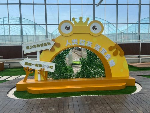 20240807104210062487.jpg 绘就乡村振兴新图景——横沙乡创新思路,发展特色产业7.jpg