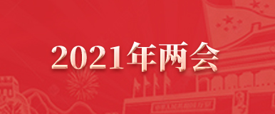 2021年两会