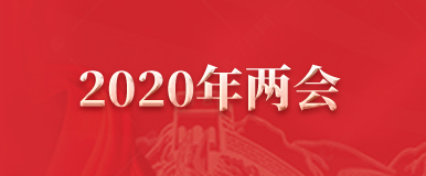 2020年两会
