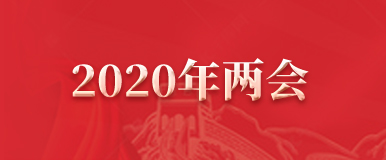 2020年两会