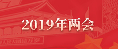 2019年两会