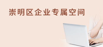 崇明区企业专属网页