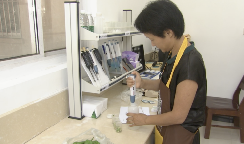 智慧检测、扫码溯源，崇明人的食品安全有保障！1.png