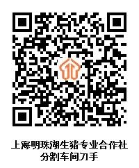 图片12.jpg