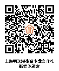 图片11.jpg