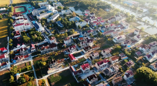 一张蓝图绘到底，高标准推进世界级生态岛建设！习近平总书记考察上海重要讲话引发崇明广大干部群众热烈反响7.png