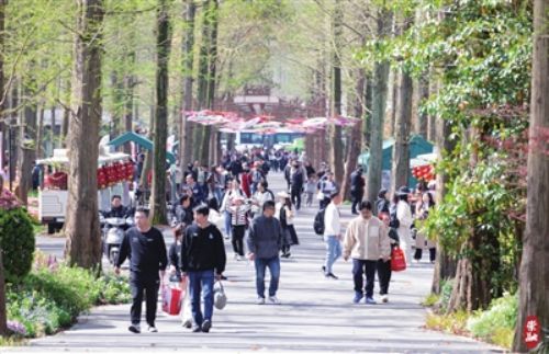 崇明掀起春日旅游热潮1.jpg