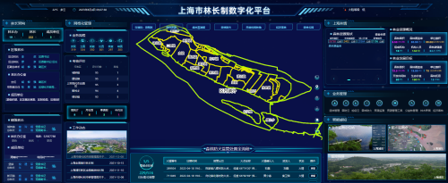 在崇明巡林护林，用上了数字化平台2.png