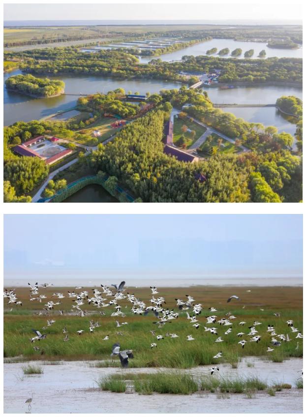 截图_选择区域_20261028102816.jpg