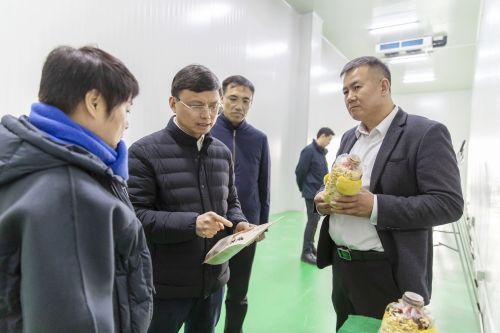 确保交出党和人民满意的“答卷”，缪京督查调研市委巡视反馈问题整改落实情况1.jpg