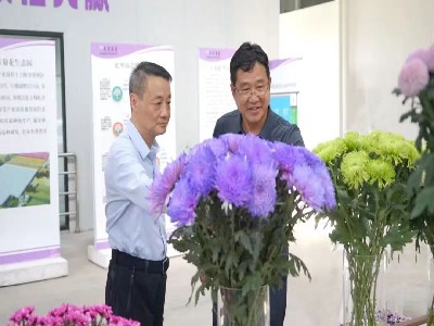 微信图片_20240723090144.jpg