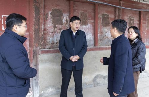 因地制宜推动项目实施，打造“五好两宜”和美乡村建设崇明样板！李峻赴竖新镇开展“四百”大走访活动1.jpg