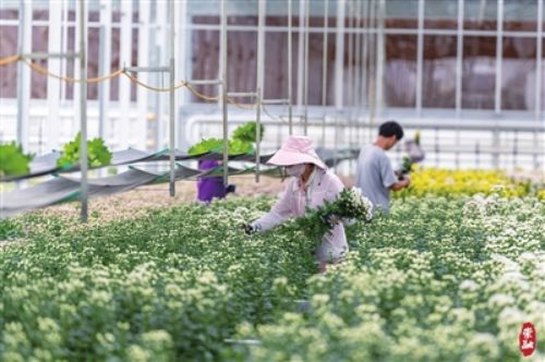 �ջ��������� �������ͼ�������Ϻ��ۺ���̬�Ƽ����޹�˾�ջ�԰ȫ���޼������1.jpg