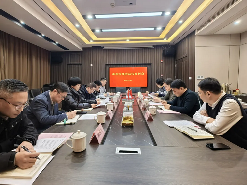 2.19新村乡召开经济形势分析会.png