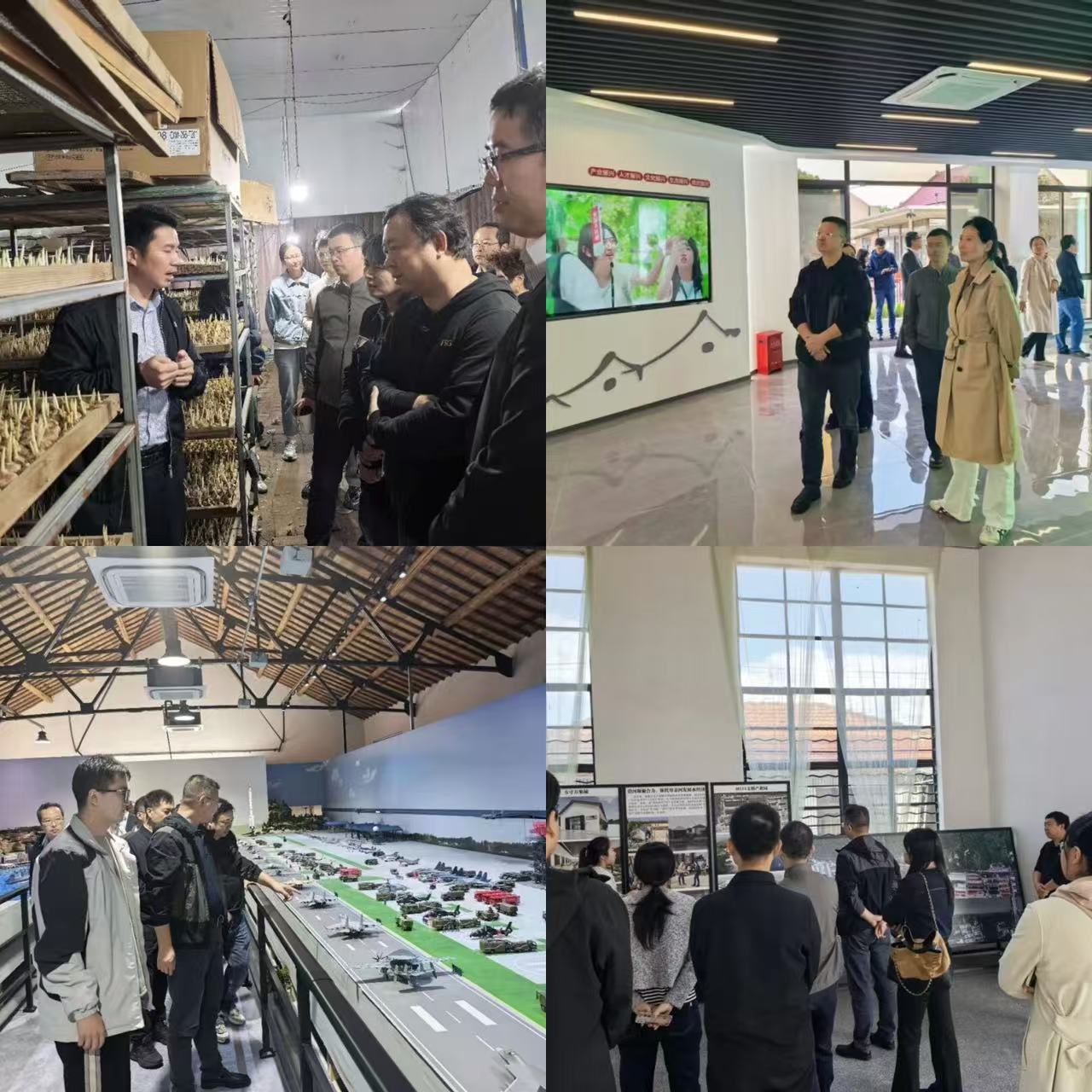 微信图片_20251111093800.jpg 微信图片_20251111093800.jpg