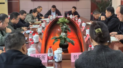 陈家镇召开2025年一季度经济运行分析会.jpg