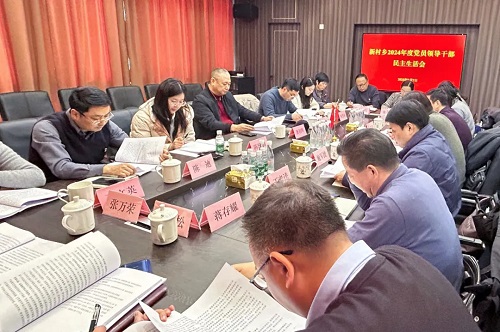 2.10新村乡召开2024年度党员领导干部民主生活会.jpg