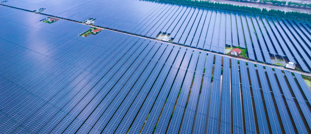 图片11.png 图片11.png