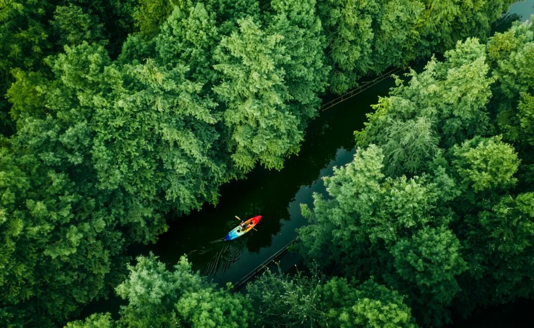 图片7.png 图片7.png