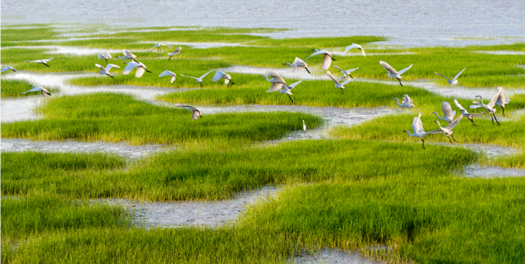 图片6.png 图片6.png