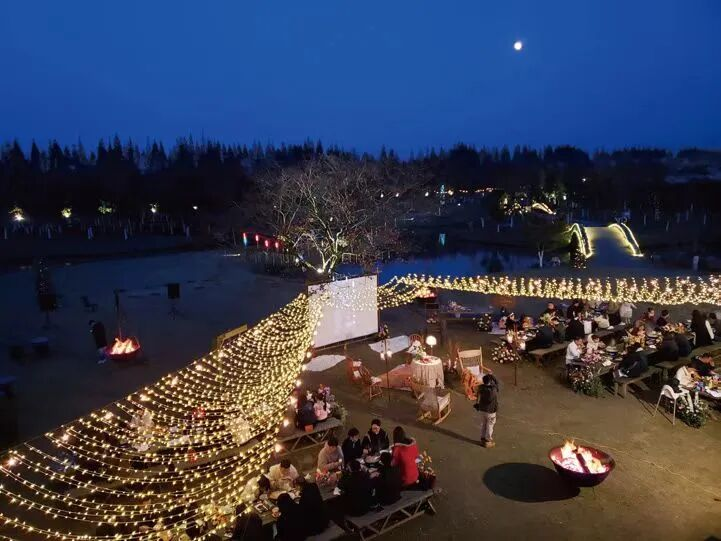 图片12.png 图片12.png