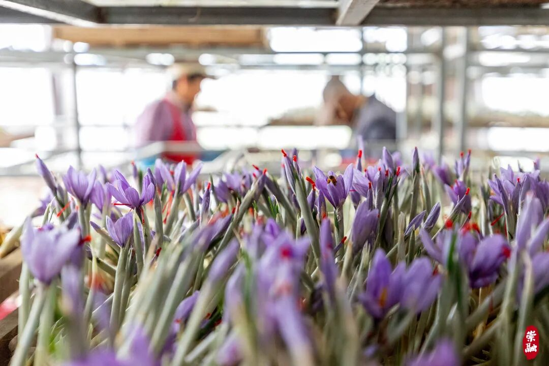 图片15.png 图片15.png