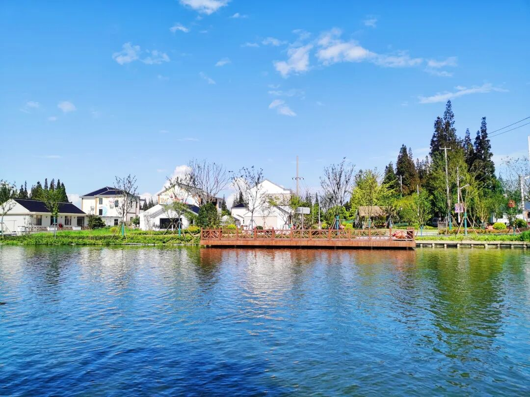 图片14.png 图片14.png