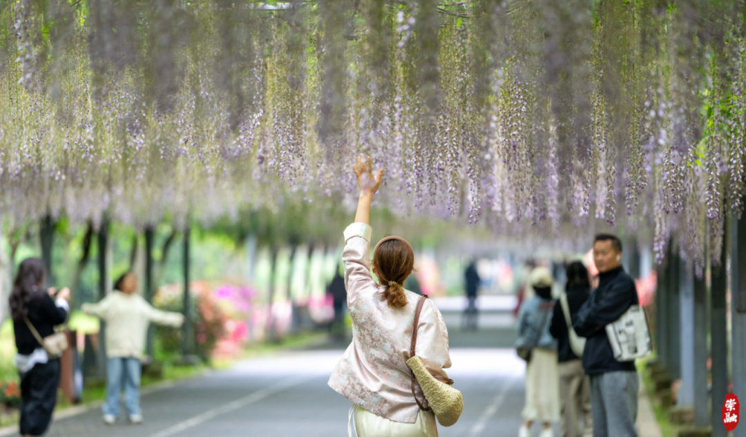 图片13.png 图片13.png