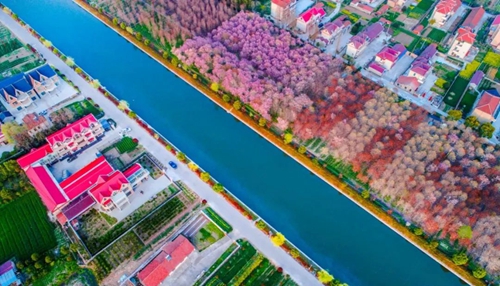 20230302094928090605.jpg 党的二十届二中全会公报在崇明广大党员干部中引发热烈反响3.jpg