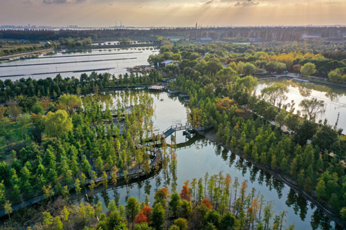 20230302094940002939.png 党的二十届二中全会公报在崇明广大党员干部中引发热烈反响4.png