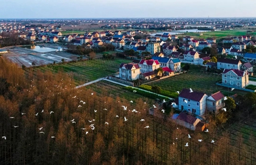 20230302094917074363.jpg 党的二十届二中全会公报在崇明广大党员干部中引发热烈反响2.jpg