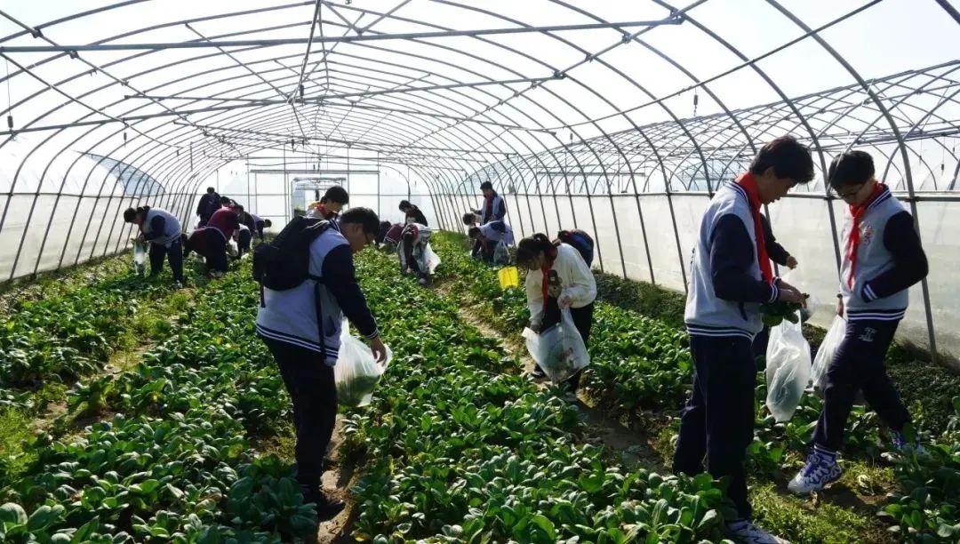 微信图片_2024-12-26_142200_046.png 微信图片_2024-12-26_142200_046.png