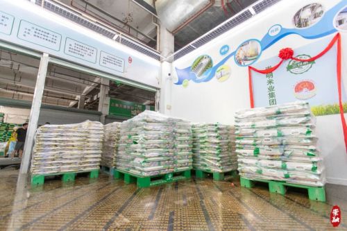 崇明大米入驻上海农产品中心批发市场 4.jpg