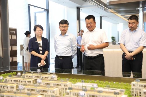 大兴调查研究 加快推进城市更新，打造人民城市样本！区领导带队调研本区城市更新工作3.jpg