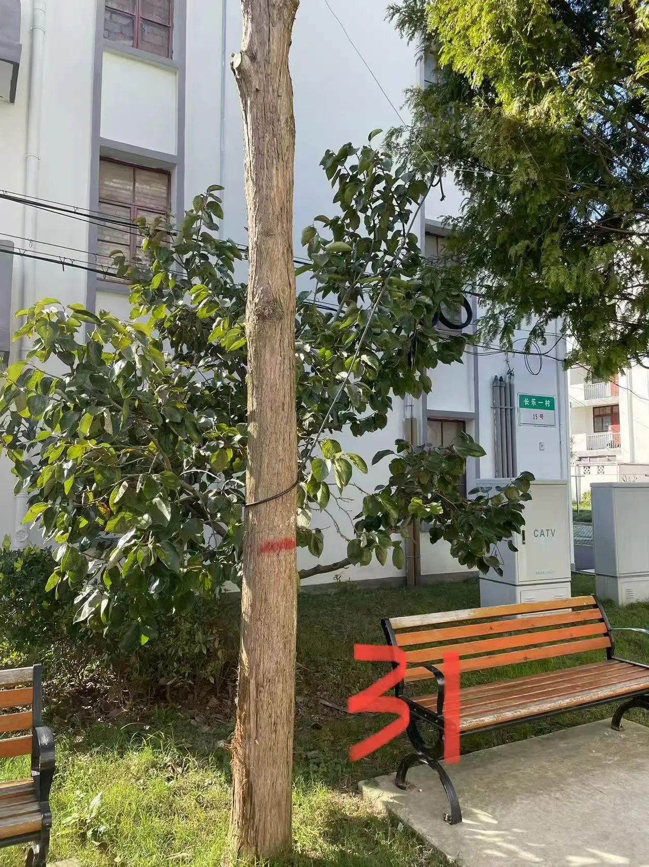 778156516e772caf794d3db82d549fbe.jpg 778156516e772caf794d3db82d549fbe.jpg