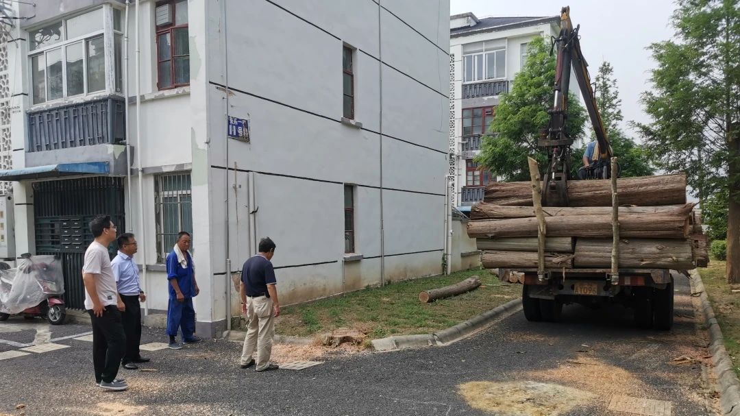 b9bfebc75b818ef2e30382f3af2de705.jpg b9bfebc75b818ef2e30382f3af2de705.jpg