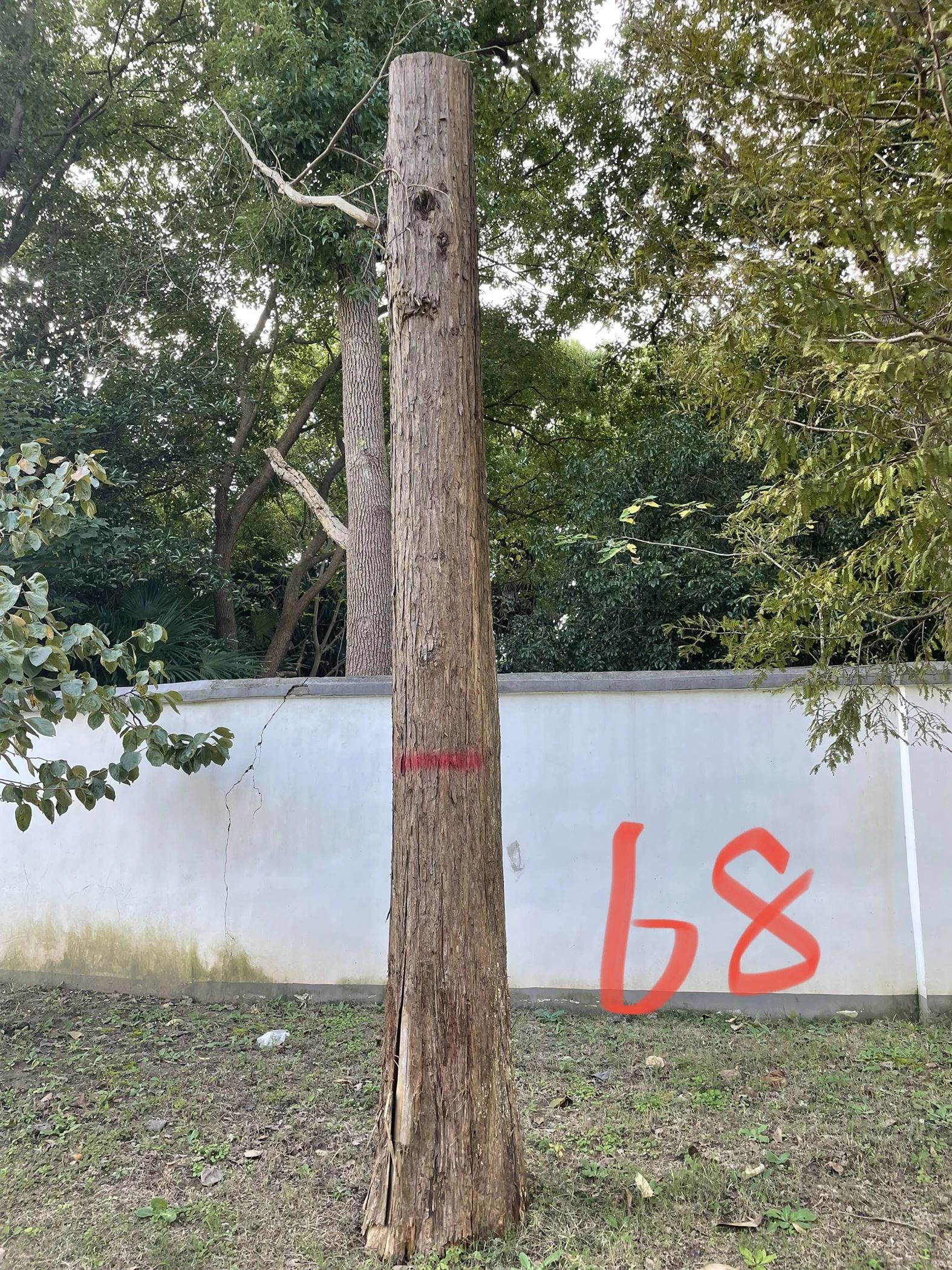 de7eb84c2bcdf9e31cbf5f998a023cee.jpg de7eb84c2bcdf9e31cbf5f998a023cee.jpg