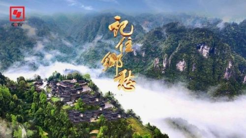 崇明再上央视，就在今晚！7.jpg