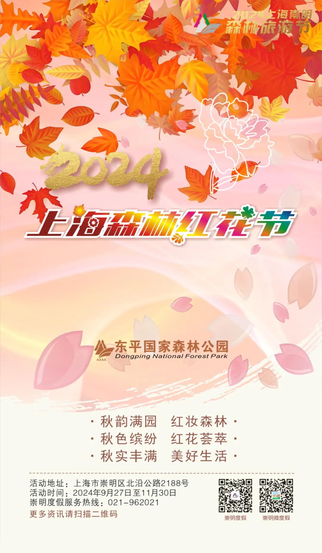 图片25.jpg