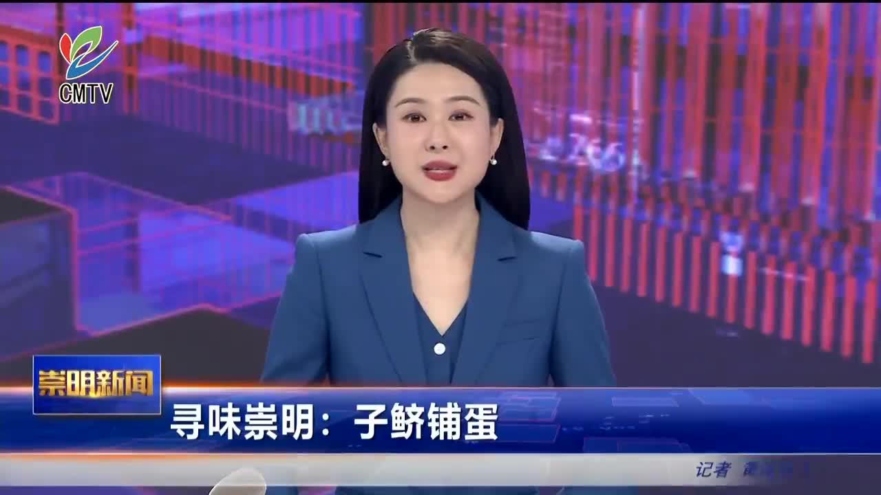 视频｜寻味崇明：子鲚铺蛋