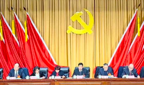 中共上海市崇明区陈家镇2023年党员代表会议胜利召开