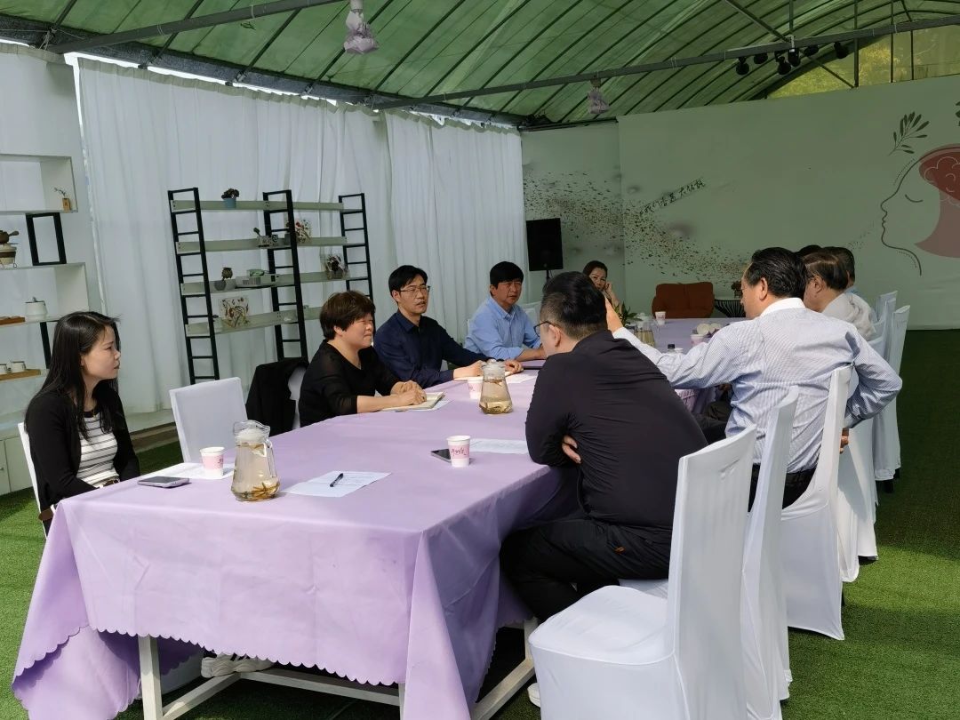 镇领导调研宾馆民宿工作
