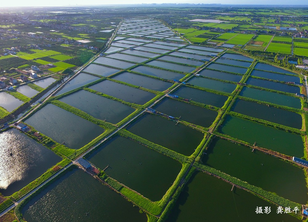 绿华渔塘 龚胜平