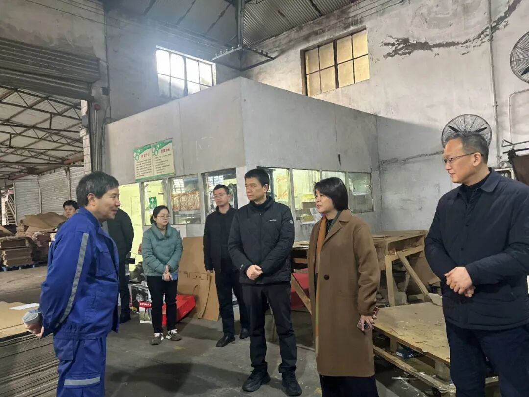 三星镇开展春节前安全大检查