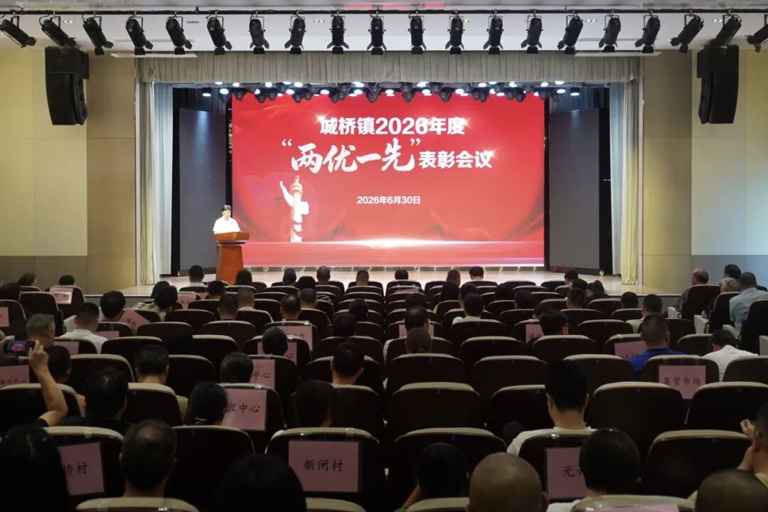 城桥镇召开“两优一先”表彰会议暨树立和践行正确政绩观学习教育专题党课