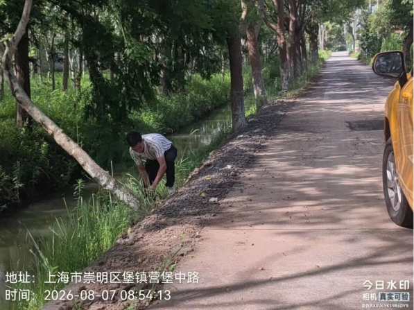 堡镇开展河道清障 全力筑牢防汛抗台排涝安全防线