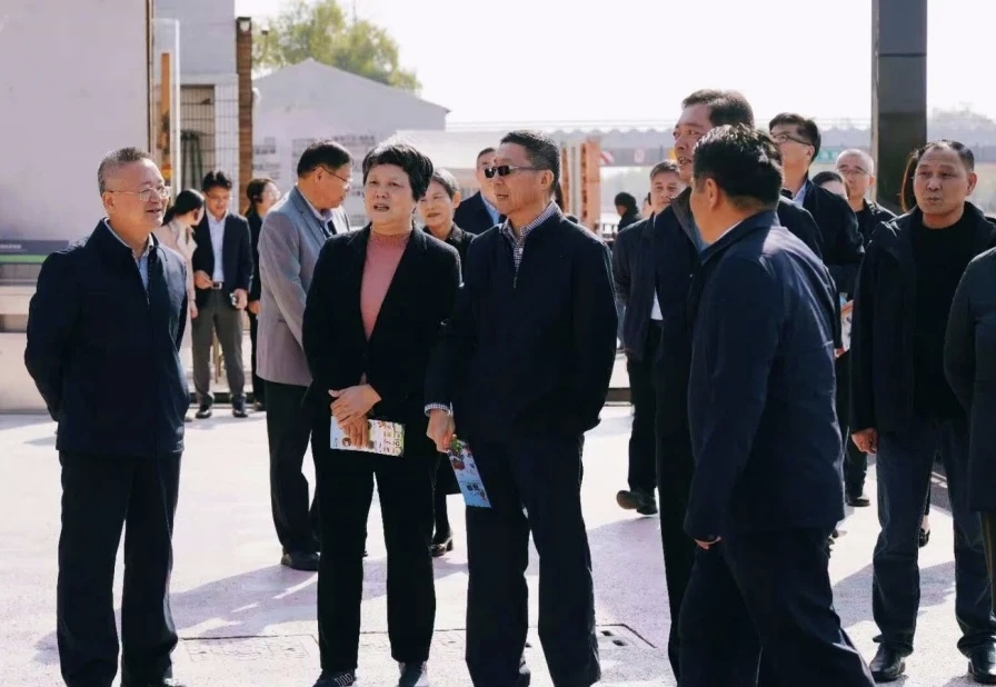 市人大崇明代表组开展2025年第二次小组活动